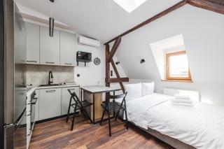 Rynek Jeżycki Roof Loft Apartment - Poznań - 7