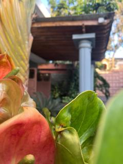 whispering palms gardens hotel and suites - Nairobi - 1
