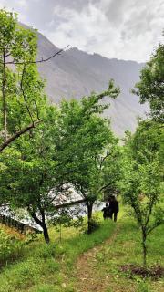 Tirthan Stone Age inn - 3