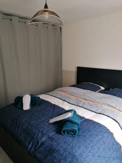 Appartement cosy avec terrasse - Nantes - 7