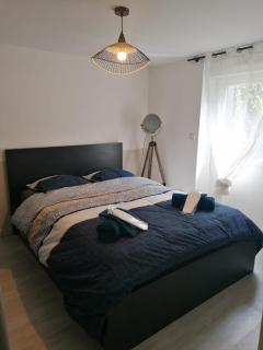 Appartement cosy avec terrasse - Nantes - 6