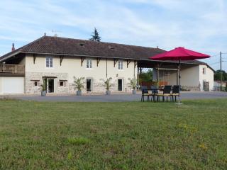 Gites Domaine de la Rochere - Domsure - 9