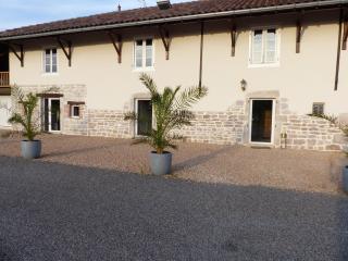 Gites Domaine de la Rochere - Domsure - 7