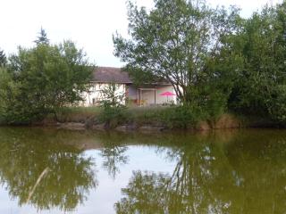 Gites Domaine de la Rochere - Domsure - 1