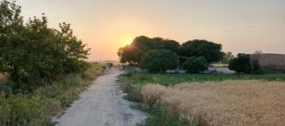Traditional Village Farm Stay Nature & Peace in desi food - - 3