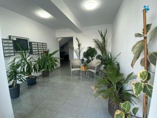Zen Beach Studio - Năvodari - 7