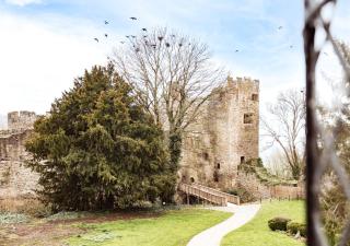 Prince Arthur Catherine-Ludlow Castle - Ludlow - 8