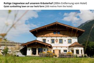 Forster's Naturresort - Neustift im Stubaital - 7