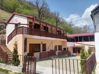 Tigris Dilijan Hotel - Dilijan - 6