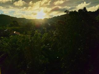 Chez laRosy - Le Vauclin - 8