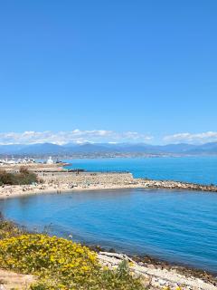 SELI 2 pièces Classé 52 M2 terrasse 20m2 Plages Piscine Antibes Juan Parking - Antibes - 8
