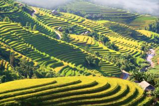 Eco Farmer House & Restaurant, Coffee - Muong Hoa, Sapa - Sa Pa - 7