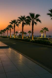 Port Said city, Damietta Port Said coastal road no2424 - `Ezbet Shalabi el-Rûdi - 3