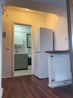 Panoramic apartment near Cismigiu - 3