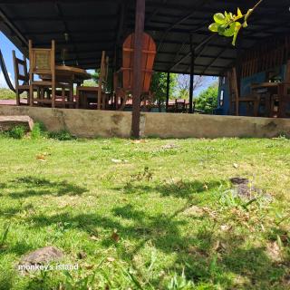 Monkey's Island Hostel - 1