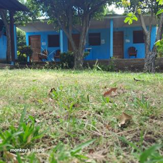 Monkey's Island Hostel - 2