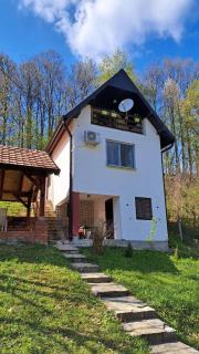 Vila Raj - Gornja Toplica - 8