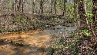 Jazzy's Cozy Creekside - 1