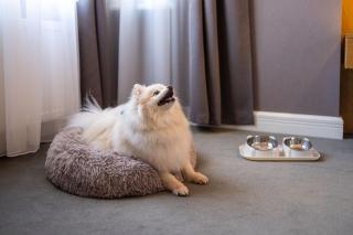 Modern Art Hotel - 3