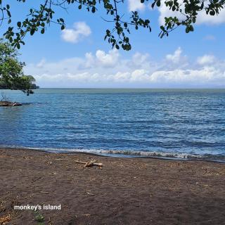 Monkey's Island Hostel - 3