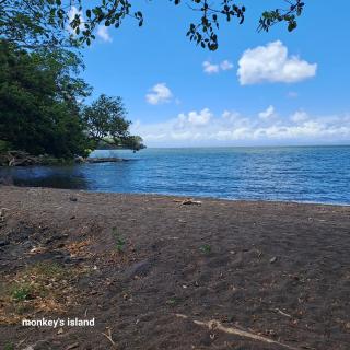 Monkey's Island Hostel - 7