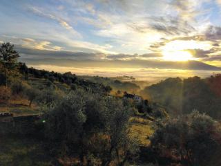 Accomodation in villa with pool & parking near Rome - Fiano Romano - 5