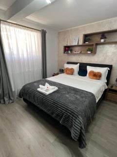 Studio Anca-old town Sibiu - Sibiu - 5