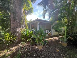 Le Curaçao, kaz dans jardin tropical avec piscine - Petit-Bourg - 6