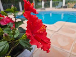 Les jardins du Patriarche Hôtel - Agde - 0