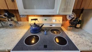 Hemlock Cottage - Good Hart with Lake Michigan access - Harbor Springs - 3