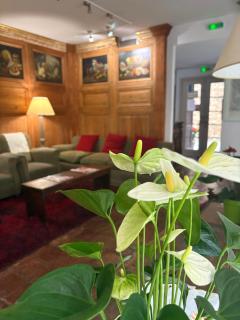 Hotel de La Font Peralada - Peralada - 2