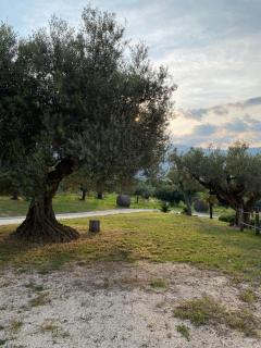 Casalecipriano - Country house with swimming pool - 2