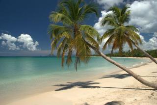 Caméléon Beach SIDE - Sainte-Anne - 0