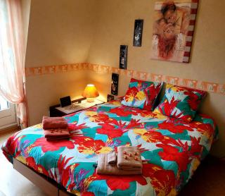 L' Appart BELLE VUE GARE ET CENTRE 10 mn à pied GARAGE GRATUIT - Colmar - 9