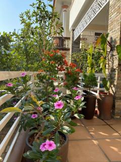Jackfruit Homestay - Ha Long - 7