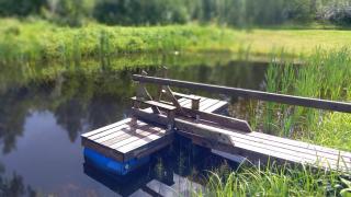 Oravapesa B & B & saun - - 9