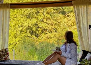 Cabin Westerwald Sauna zubuchbar - Niederdreisbach - 2