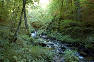 B&B Les Paddocks - Vollore-Montagne - 6