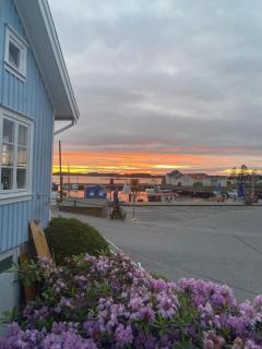 Lilla stugan i hamnen - Fjällbacka - 5