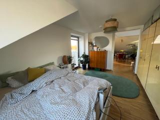 Münchner Dachgeschoss Loft - Monaco di Baviera - 1