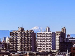 Triphome Nakano 2025 Green - 9