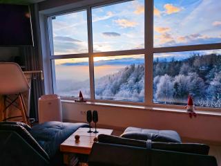 Wellness pod zvezdami, Maribor - PRIVATE - Maribor - 7