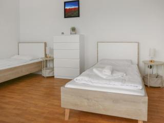 großzügiges Apartment I 10 Personen I Einzelbetten I Parkplatz I W-Lan - Alzey - 7