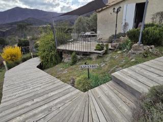 La Lavande - La Robine - 1