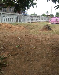 Soowicha Sweet Pink House - - 4