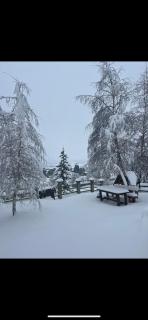 Breza - Žabljak - 7