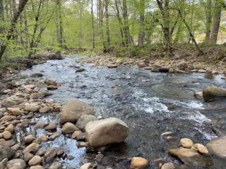 Home Sweet Home on Cosby Creek - Cosby - 0