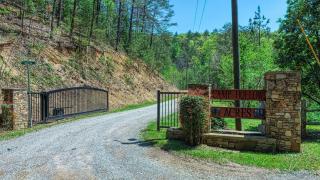 Bear Pause - Sevierville - 8