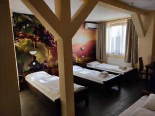 Hotel Winnica Maria Anna - Skorka - 2