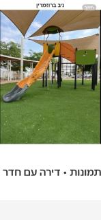 שחף ברוזמרין - 8